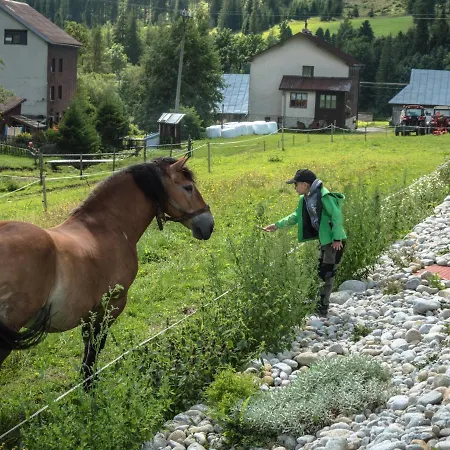 Resort Winter&summer